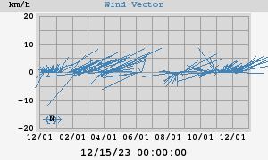 Wind Vector